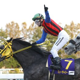 2021年ＪＢＣクラシック覇者ミューチャリー　ちばシティ乗馬クラブに繋養