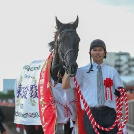 【市川の日曜競馬コラム・天皇賞】	