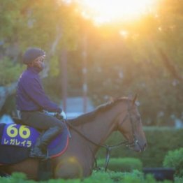 【新居の日曜競馬コラム・天皇賞】	