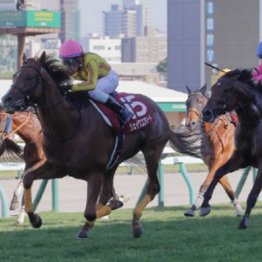 【大谷の日曜競馬コラム・天皇賞】	