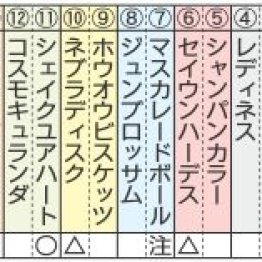 【注目重賞／追い切りで買う・天皇賞】
