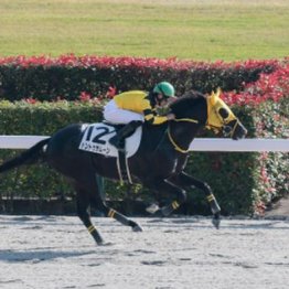 【レスキュー隊の日曜競馬コラム・東京12Ｒ】