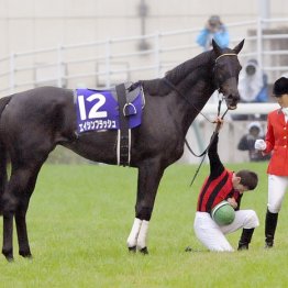 ２０１２年天皇賞・秋覇者　エイシンフラッシュ